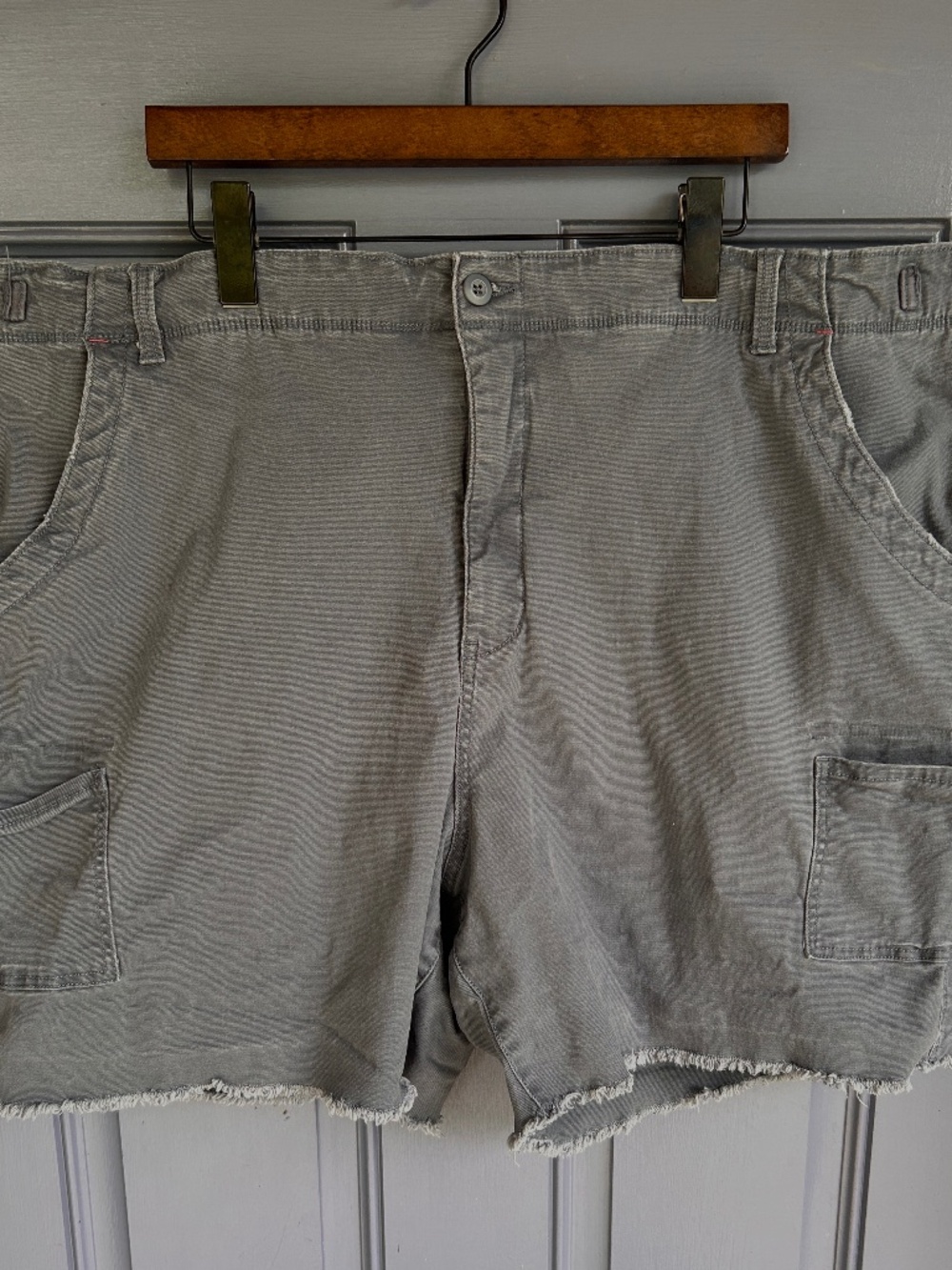 Terra & Sky Cargo Shorts, 26W